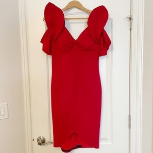 Brand New Red Dress